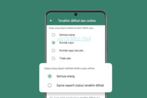 Cara Menyembunyikan Tanda Online di WhatsApp Android, iOS, PC